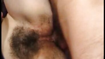 బ్రేజర్లు: పోర్న్హెచ్డిలో బిగ్ నేచురల్ సెంటర్ సుందర్ల్యాండ్ కోసం ఫుల్ సెక్స్ తెలుగు మిల్కింగ్ టేబుల్